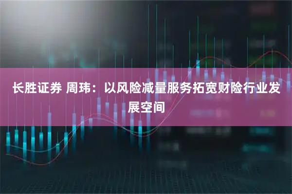 长胜证券 周玮：以风险减量服务拓宽财险行业发展空间