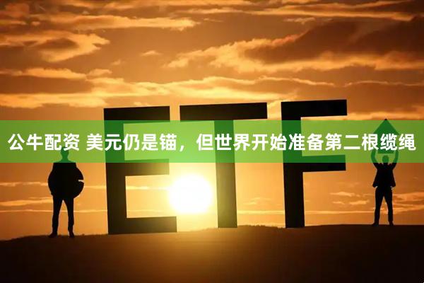 公牛配资 美元仍是锚，但世界开始准备第二根缆绳