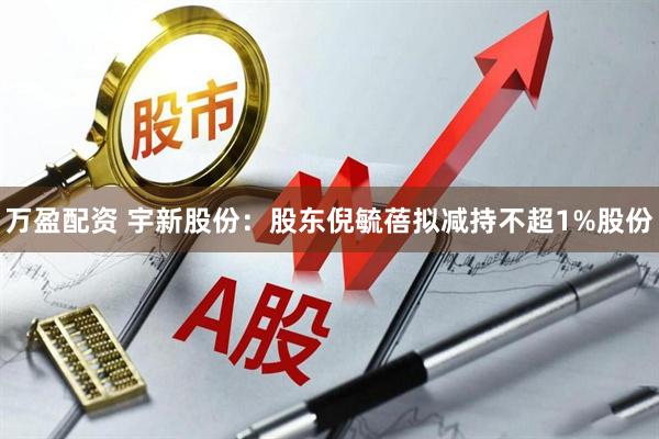 万盈配资 宇新股份：股东倪毓蓓拟减持不超1%股份