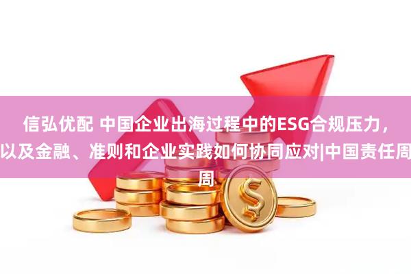 信弘优配 中国企业出海过程中的ESG合规压力，以及金融、准则和企业实践如何协同应对|中国责任周