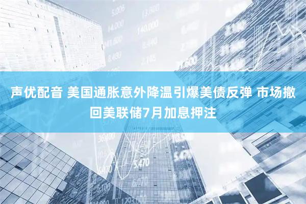 声优配音 美国通胀意外降温引爆美债反弹 市场撤回美联储7月加息押注