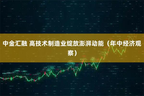 中金汇融 高技术制造业绽放澎湃动能（年中经济观察）